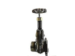 10002334-VALVE GATE MANUAL 3" STEEL BODY BRASS STEM TTMA X MNPT 50PSI MAWP BETTS