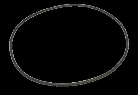 10005100-ORING PUMP 2" HEAD SEAL BLACKMER