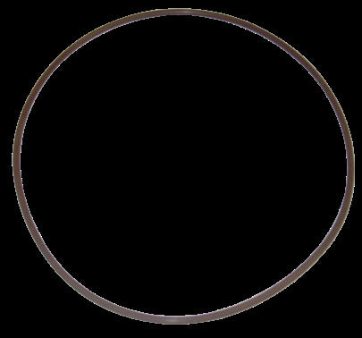 10023232-ORING DISC PUMP LPG TLGLF3C BUNA BLACKMER
