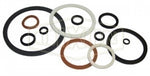 10066499-GASKET CAM 4" BUNA N WHITE FDA DIXON